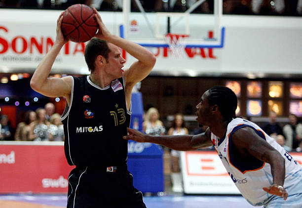 体育领域动 体育领域动